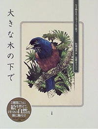 大きな木の下で―生き物をめぐるフィールド便り